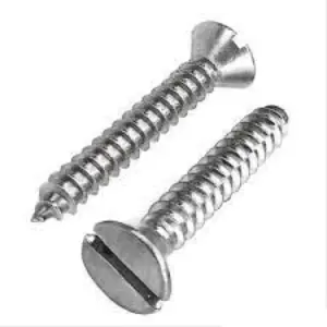 Parafuso Fenda 2.5 X 10